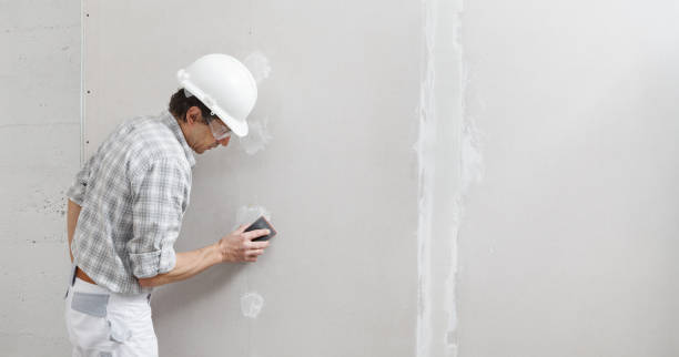 Best Drywall Finishing  in USA